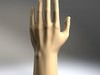 Hand 3D Model