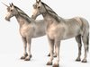 Horse and Unicorn 3D Model