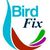 bird-fix