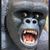 kingkong78