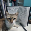 kittipum
