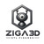 ZIGA3D