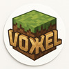 voxel-3d-model
