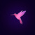 3D-Colibri