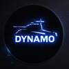 Dynamodels