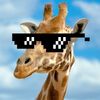 CGTrader profile picture for @giraffe