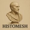 Histomesh