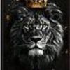 nabeelaalbusaidi