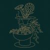 florifier-info