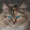 CGTrader profile picture for @Bass