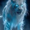 saifmemon96666