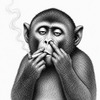 papuagee56513
