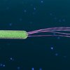 Microscopic3D
