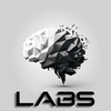 PolyBrainLabs