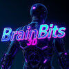 BrainBits3D