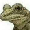 nedurfrog