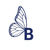 butterfly-studio