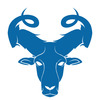 BlueRamStudios