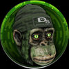 JayMonkey