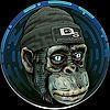 JayMonkey