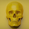 CGTrader profile picture for @epidural