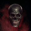 darkskullcollectibles