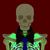 nocturnalskeleton