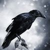 ravenbringer