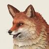 Low-Poly-Foxoly
