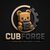 CubForge