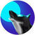 wolfpoly3d