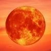 redskyward11