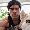 WolFsamii