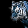 CGTrader profile picture for @international