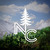 NordicCanopy
