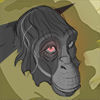 MonkeyInSpace