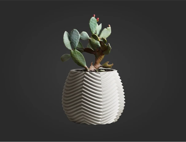 屋