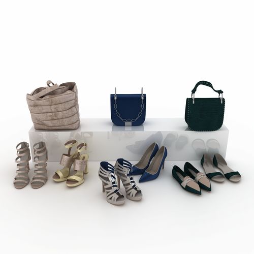 Shoes and Bags 3D model