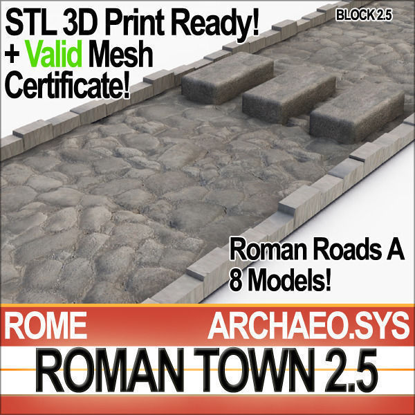 Roman Town Buildings and Walls Collection _16