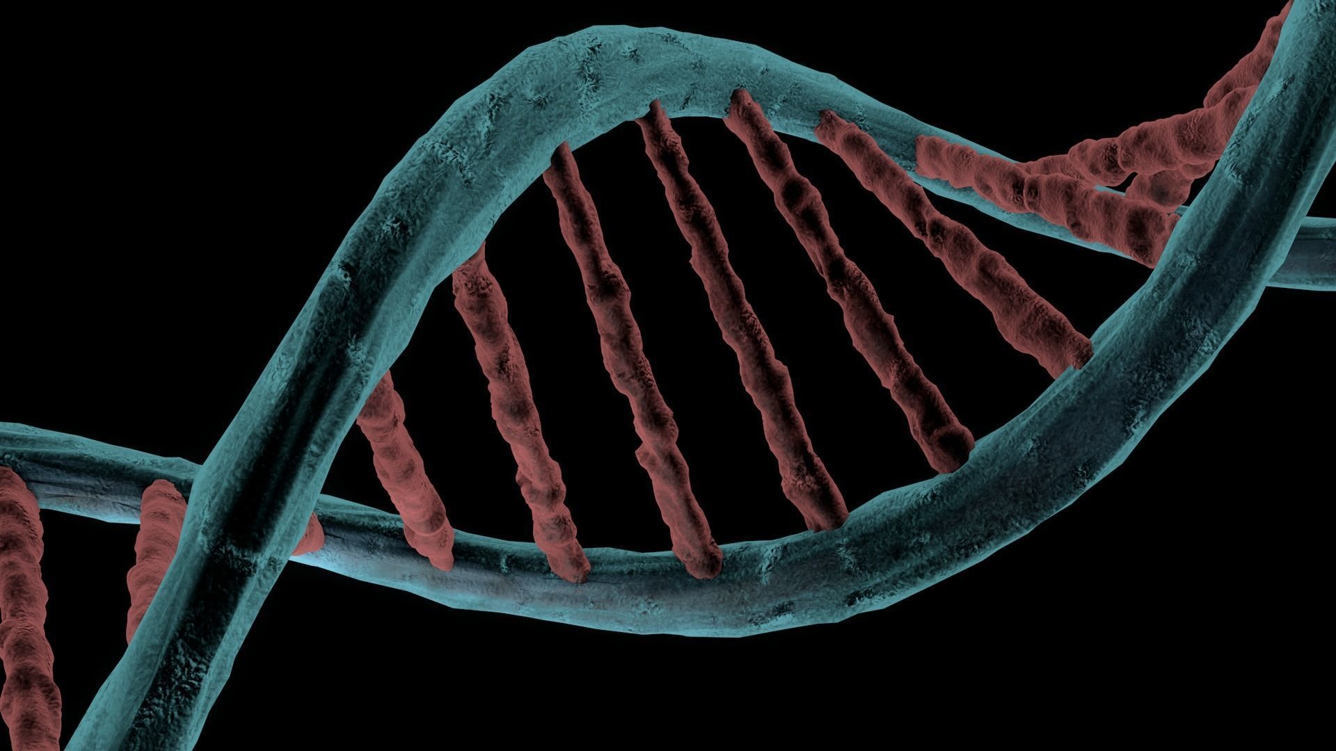 Dna Helix Medical 3D model CGTrader