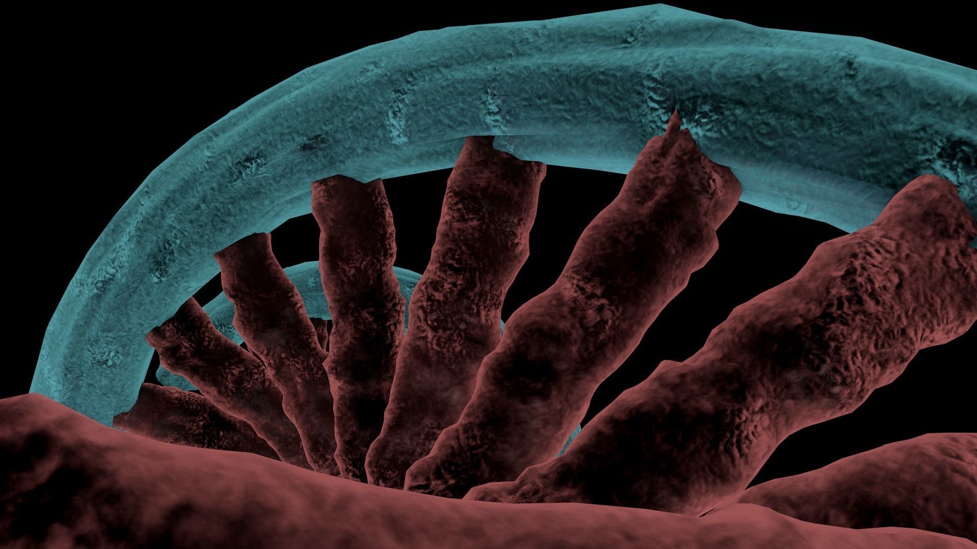 Dna Helix Medical 3D model CGTrader