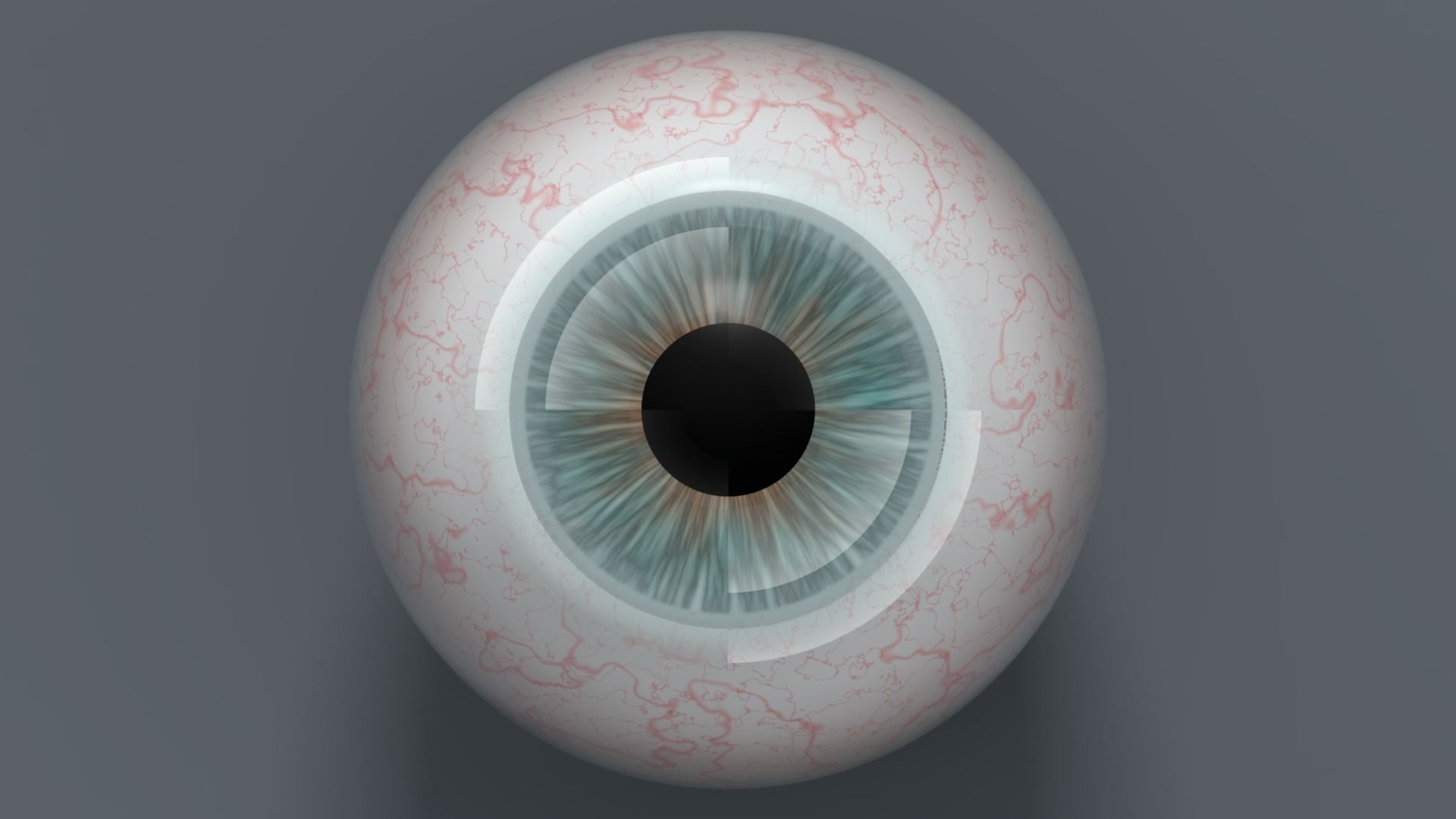 Realistic Eye s human 3D model_1