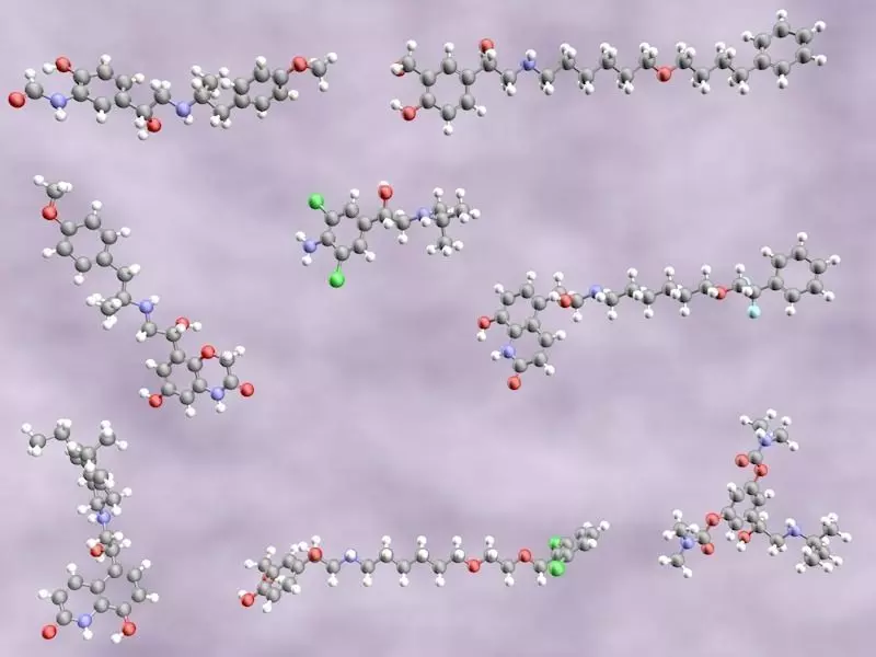 Collection of long-acting beta-2 agonists 3D model_0