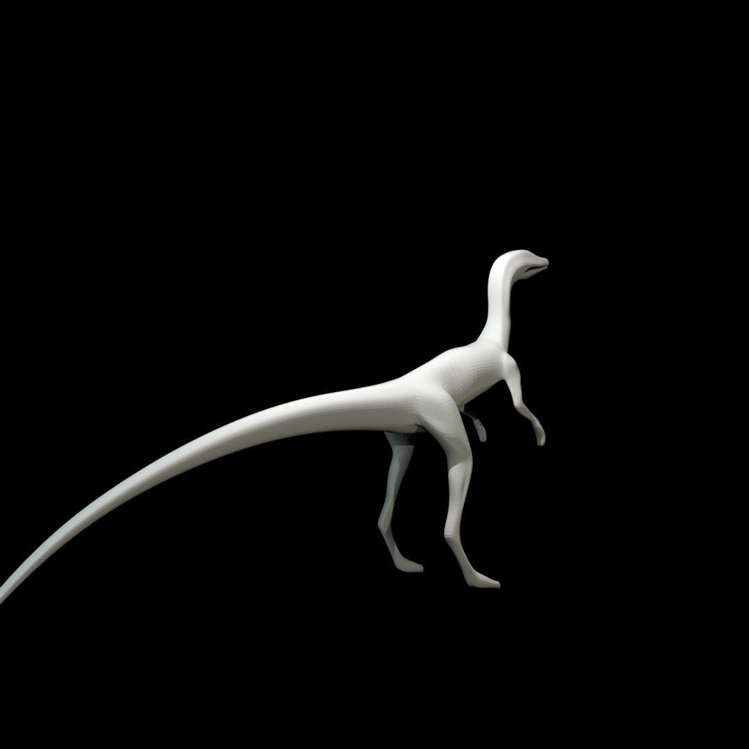 Low-poly Compy dinosaur Low-poly 3D model_10