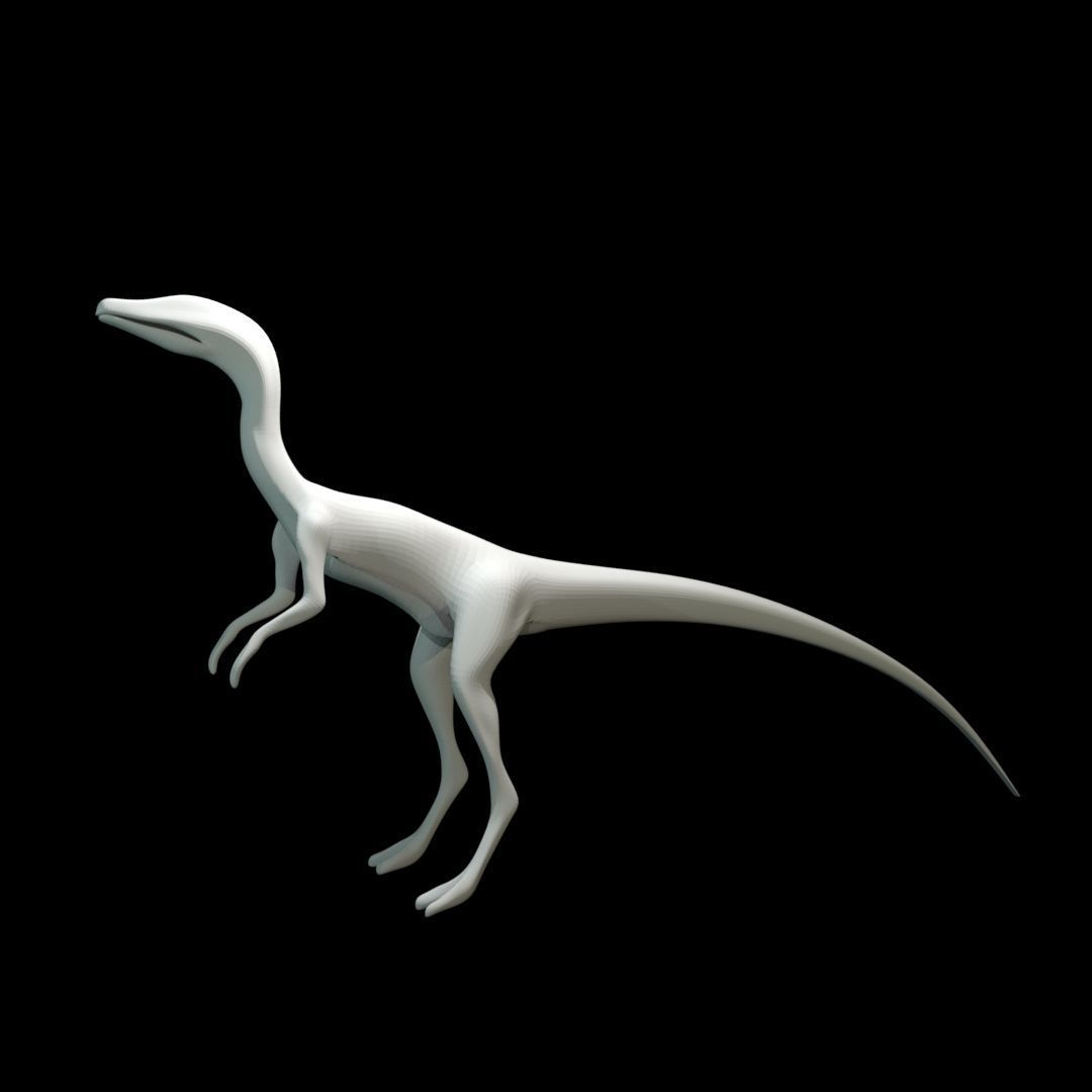 Low-poly Compy dinosaur Low-poly 3D model_25