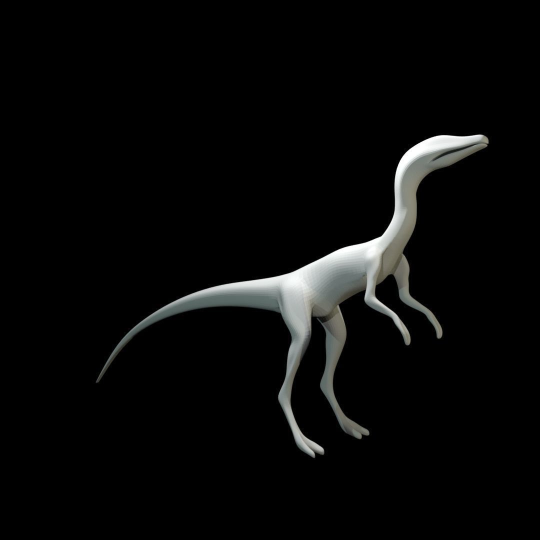 Low-poly Compy dinosaur Low-poly 3D model_36