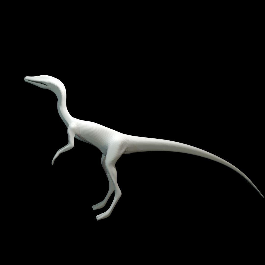 Low-poly Compy dinosaur Low-poly 3D model_24