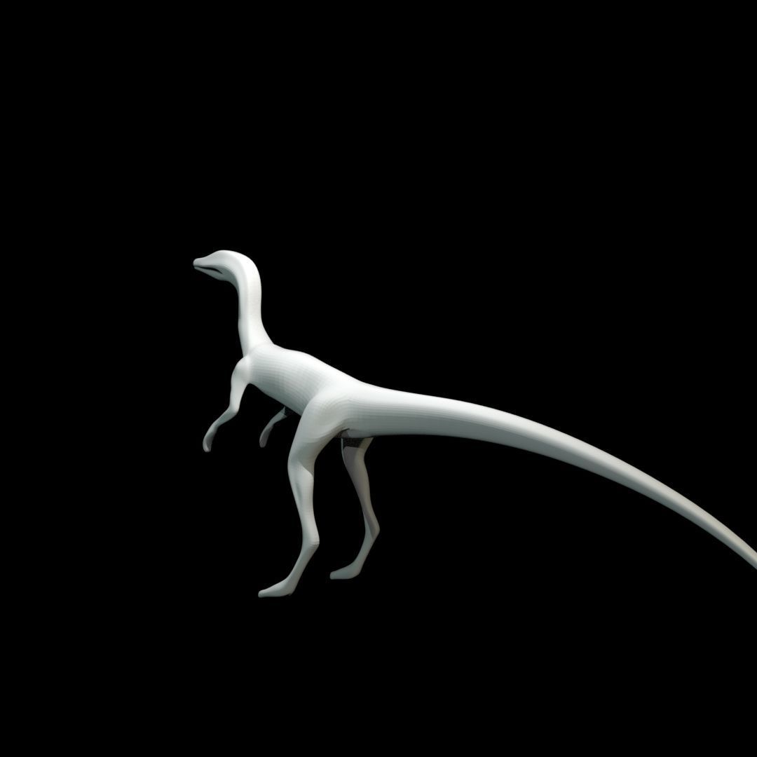 Low-poly Compy dinosaur Low-poly 3D model_19