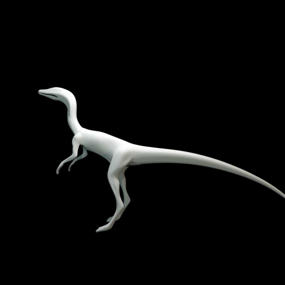 Low-poly Compy dinosaur Low-poly 3D model_22