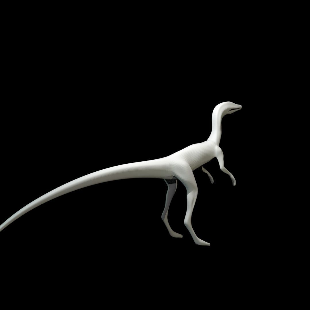 Low-poly Compy dinosaur Low-poly 3D model_9